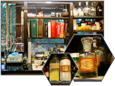 The Shulgin Lab